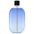 Natural Plant Essential Oils Long Lasting Refreshing Aroma Variety of Scents for Personalized Aromatic Space Safe for Pets